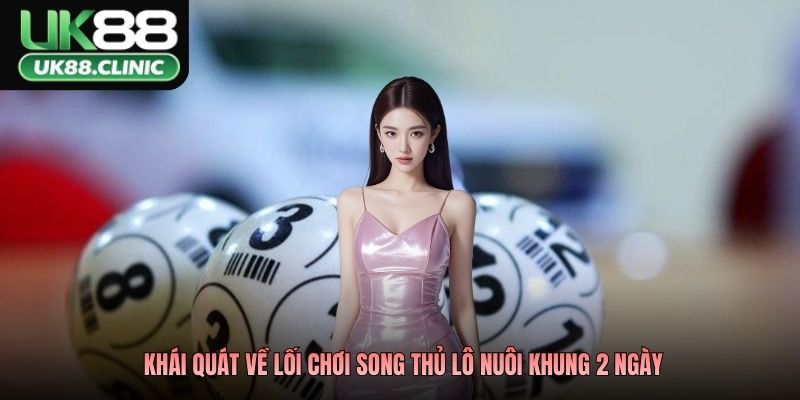 Khái quát về lối chơi song thủ lô nuôi khung 2 ngày
