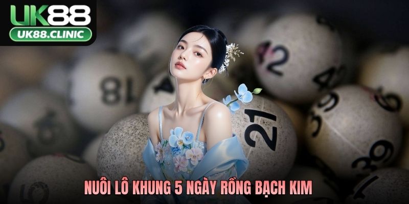 Nuôi Lô Khung 5 Ngày Rồng Bạch Kim – Chiến Thuật Bất Bại 2026